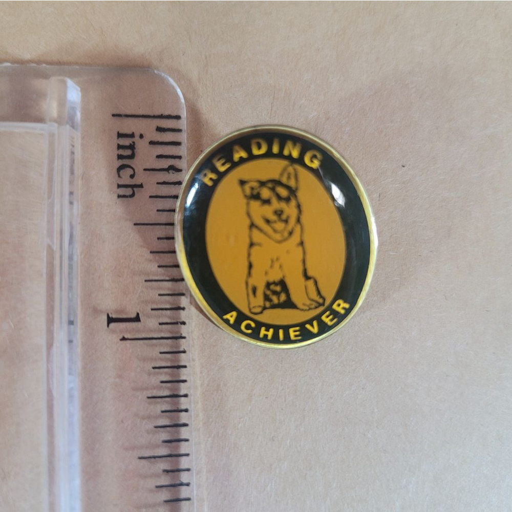 Reading Achiever Pin Gold Black, pre-owned, enamel?